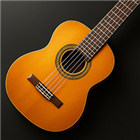 Classical Chords Guitar