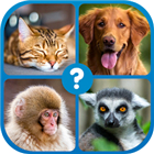 Guess the Word : Word Puzzle